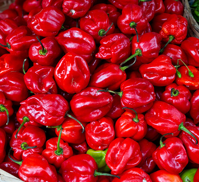Cameroon Pepper